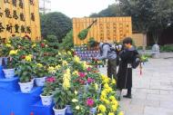 河南旅游市場運營：”開封“千菊進萬家”活動要開始了，今年又有哪些新內容？